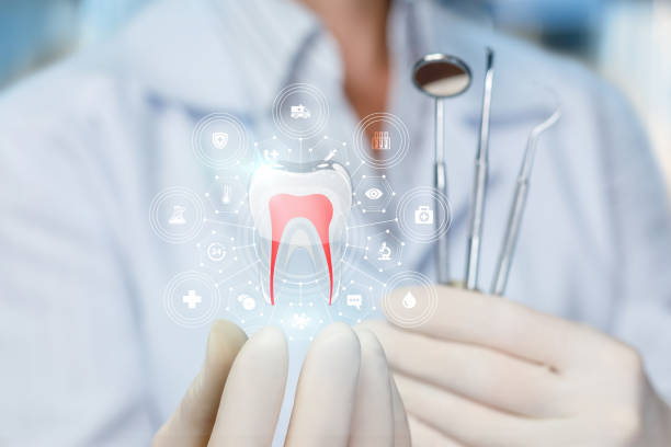 Best Preventive Dentistry  in Green Valley, CA